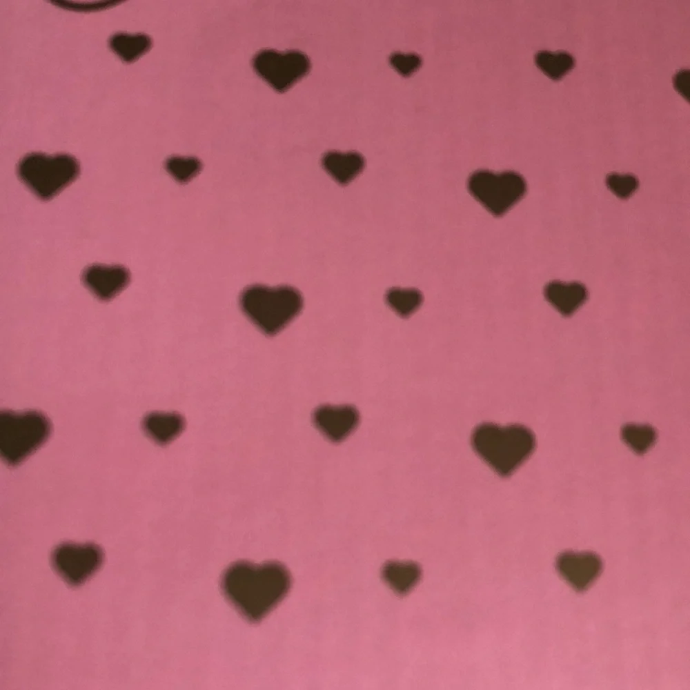 Paris Hilton Heart Pattern Digital Glass Kitchen Scale